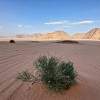 Wadi Rum